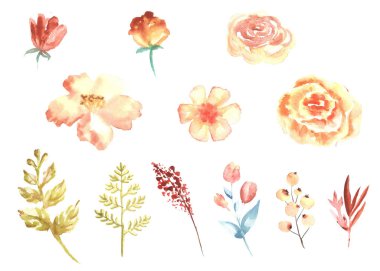 Watercolor set of orange sketch flowers isolated on a white background