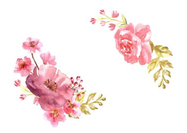 Çiçeklerin suluboya pembe nazik kompozisyonları beyaz arkaplana çizilmiş.