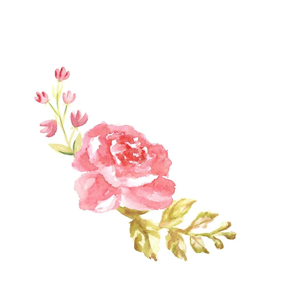 Watercolor gentle pink composition of flowers hand drawn on white background — Stock fotografie