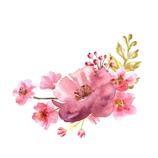 Watercolor gentle pink composition of flowers hand drawn on white background — Foto Stock