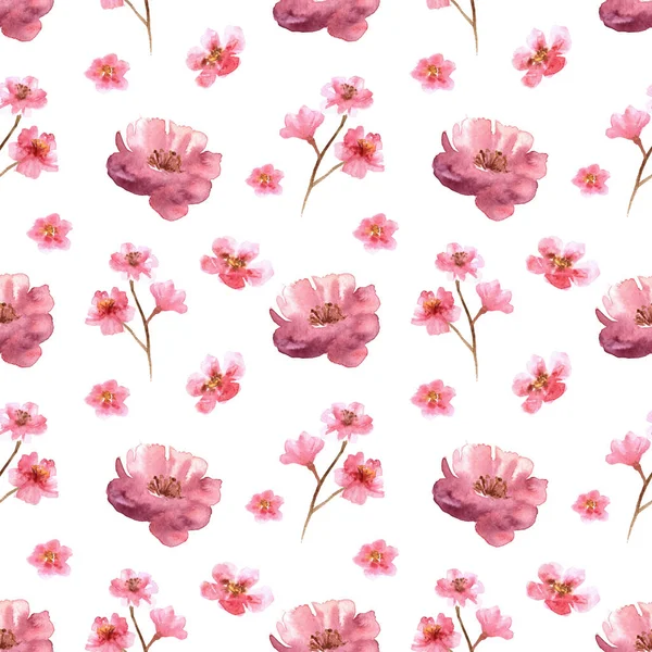 Watercolor gentle pattern with flowers of pink cherry hand drawn on white background — 스톡 사진