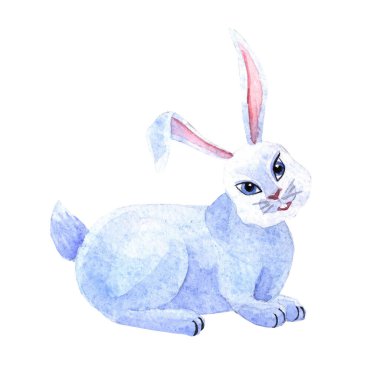 Beyaz arka planda izole edilmiş suluboya sevimli tavşan. Çocuğun çizimi.