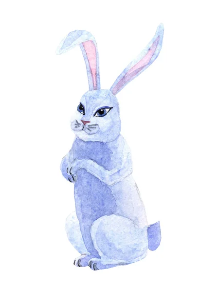 Akvarell Söt Kanin Isolerad Vit Bakgrund Grabbens Illustration — Stockfoto