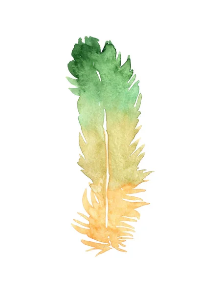 Watercolor Bright Tropical Feather Isolated White Background — Stock Photo, Image