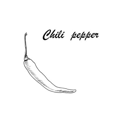 Beyaz arka planda kırmızı biberli vektör botanik çizimi. Baharat, bitki ve sebzeli el yapımı yiyecek koleksiyonu. Yemek kitapları, dergiler ve tekstil için mükemmel..