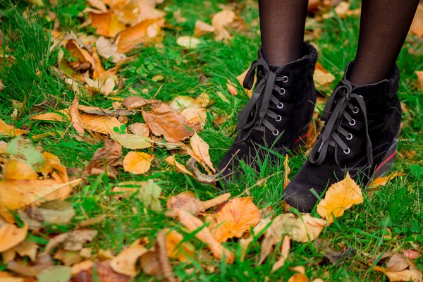 Herbst Laub Mädchen Gehen Auf Grünem Gras Mit Gelben Blättern — Stockfoto