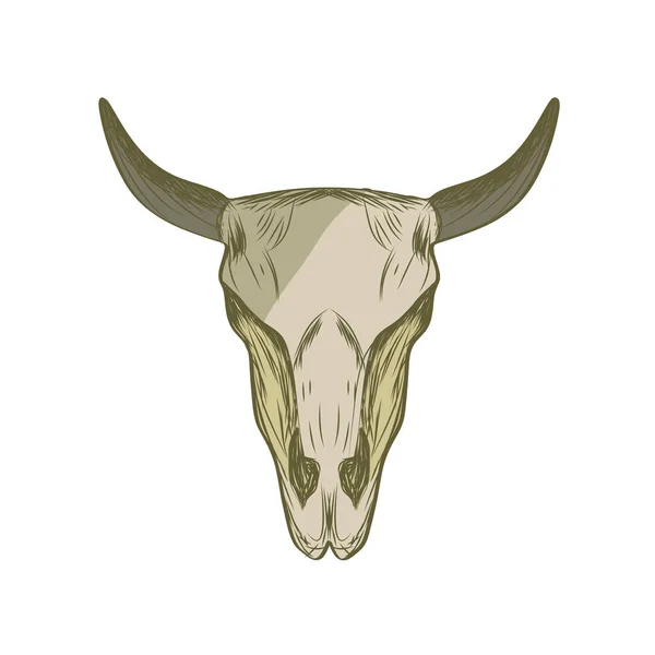 Modelo Ilustração Desenho Caveira Vaca — Vetor de Stock