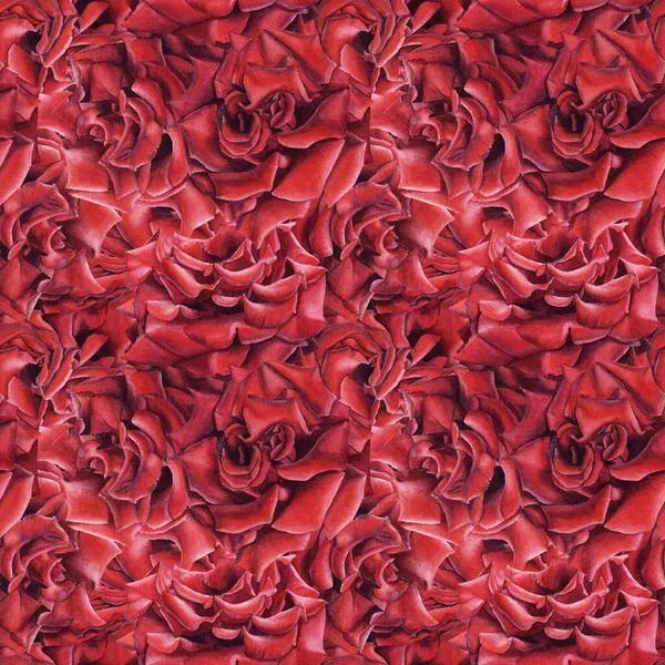 Handgezeichnetes Aquarell mit nahtlosem Muster und roten Rosen. — Stockfoto