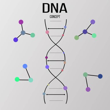 DNA ikon vektörü. Logo kromozomu çizimi