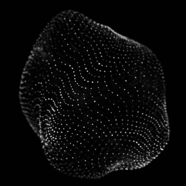 Soyut 3D küre. Bükülme çizgileri olan küre. Logo tasarımı. Dış uzay nesnesi. Gelecekçi teknoloji tarzı. Küre parçacıkları. 3d oluşturma.