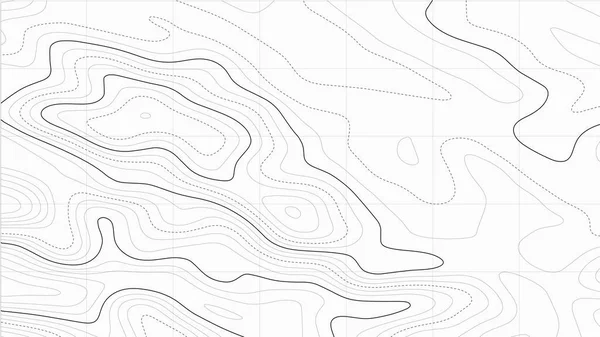 Fondo Del Mapa Topográfico Ilustración Abstracta — Vector de stock