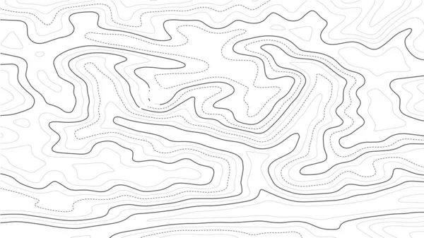 Mapa Topográfico Fundo Ilustração Abstrata — Vetor de Stock