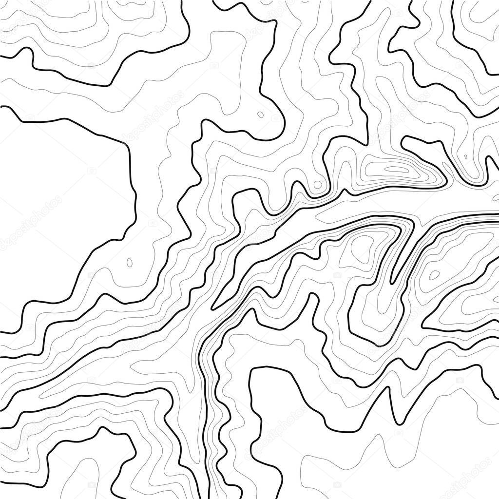 Topographic map contour background. Line topographic map contour background. Art design contour background.