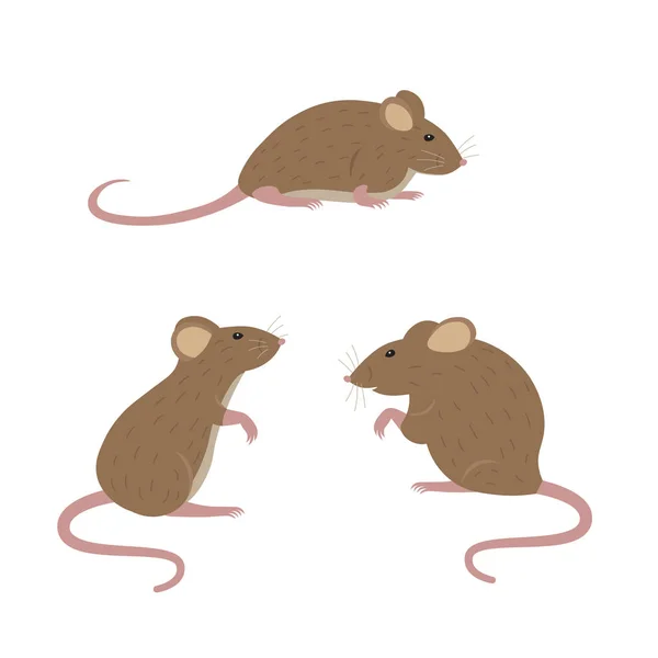 Cartoon Mouse Vector Illustration White Background — 스톡 벡터
