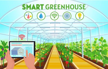 Akıllı tarım. Sıcaklığı, nemi ve ışığı kontrol etmek için bir tablet kullanan çiftçi. Sıralar dolusu dolma biber, domates, salatalık, patlıcan içeren büyük bir sera. Vektör illüstrasyonu.