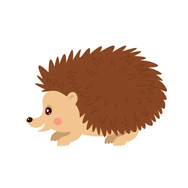 Hedgehog Flat Cartoon Style — Stock Vector