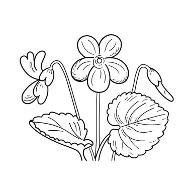 El yapımı viyola kokusu. Menekşe çiçekleri. Çizgi tarzı. Beyaz arkaplanda izole.