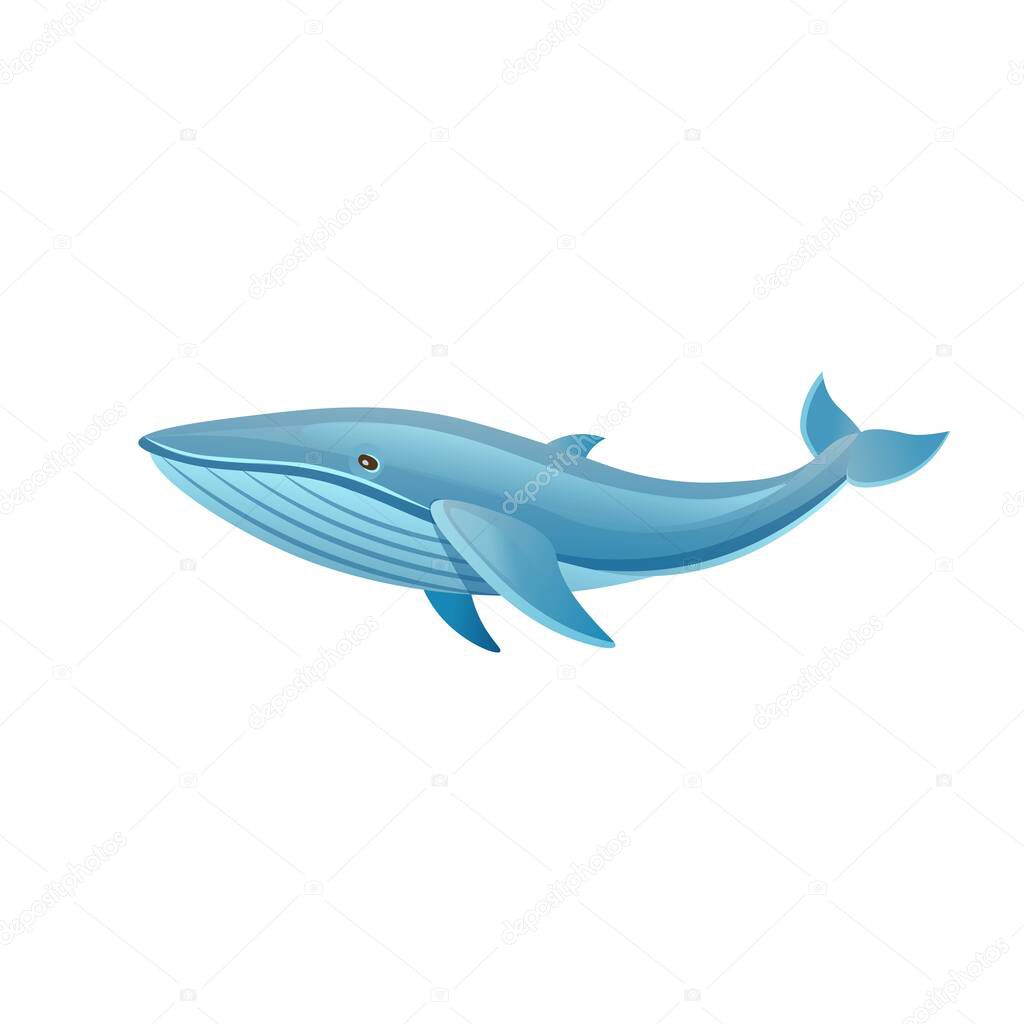 Cartoon whale on a white background. Vector illustration