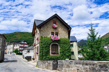 Küçük bir kasabada, duvarında bitkiler olan kırsal bir ev..