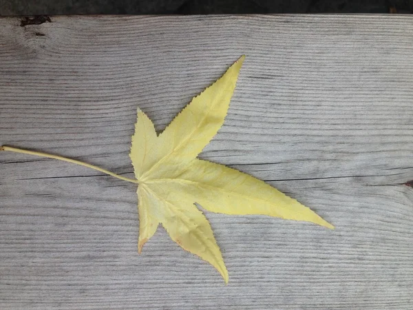 コピー領域に粒子の粗い木材の背景の秋の葉 — ストック写真
