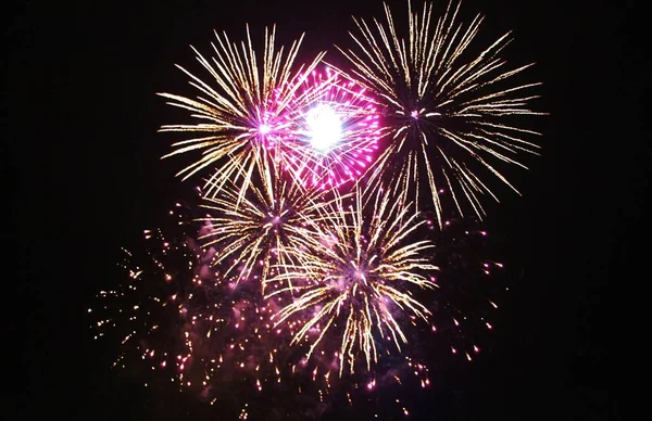 Fuegos artificiales Los fuegos artificiales iluminan el cielo con una deslumbrante pantalla rosa — Foto de Stock