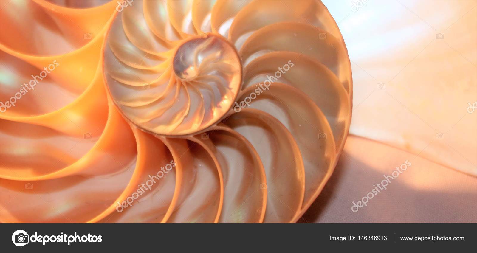 Fibonacci Sequence Shell