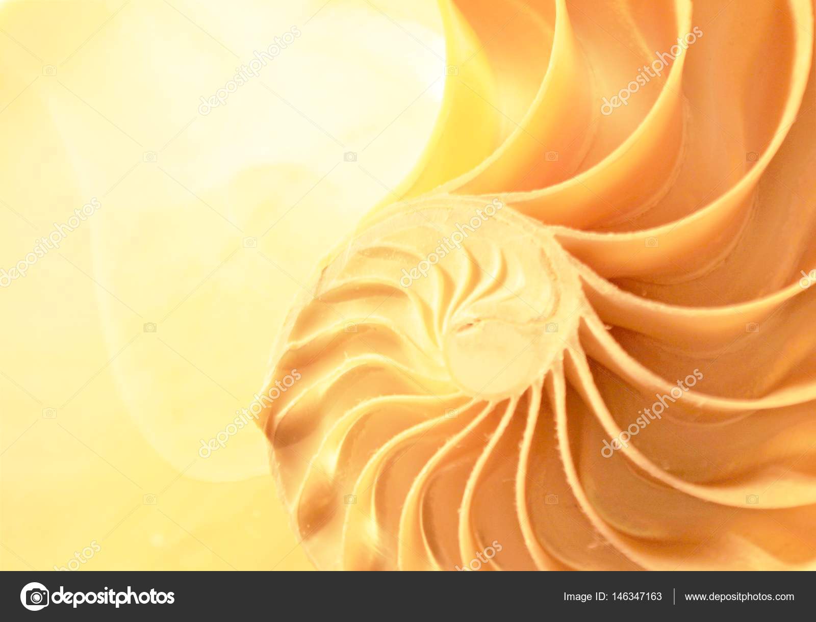 Nautilus Shell Fibonacci Symmetry Cross Section Spiral Structure Growth Golden Ratio Nautilus Pompilius Seashell Swirl Pompilius Copy Space Stock Photo Image By C Cheekylorns2
