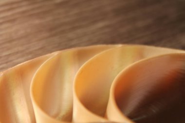 Nautilus kabuğu simetri yarım kesit sarmal altın oran yapısı büyüme kapatın yedekleme Fibonacci (pompilius nautilus inci yakından anası yaktı ) 