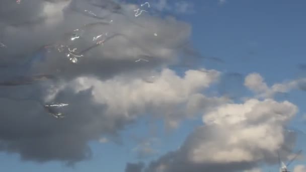 Bulles Dans Ciel Flottent Flottant Sur Brise — Video