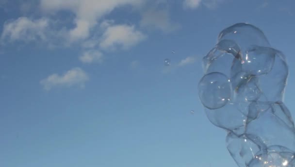 Bubblor Sky Float Flyter Vinden Poppar Lager Foto Fotografi Bild — Stockvideo