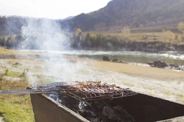 Dağlarda Barbekü — Stok fotoğraf