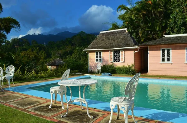 Piscina Nas Montanhas Azuis Jamaica Imagem De Stock