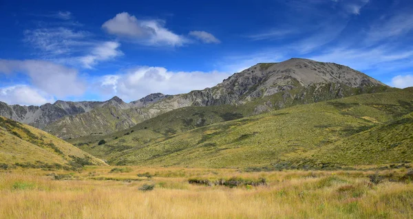 Prachtig landschap in Nieuw Zeeland met geel grasland en bergen. Station Molesworth, South Island. — Stockfoto