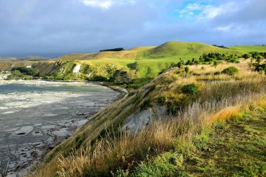 Güney Körfezi, Kaikoura yakınlarındaki güzel Yeni Zelanda manzarası. Bulutlu bir gökyüzünün altında okyanus ve manzara..