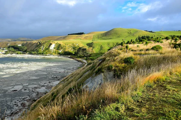 Bela paisagem neozelandesa perto de Kaikoura, South Bay, com o oceano e a paisagem sob um céu nublado . — Fotografia de Stock