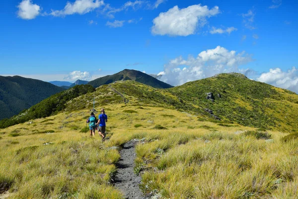 Schöne Berglandschaft Mit Zwei Wanderern Auf Dem Weg Zum Mount — Stockfoto