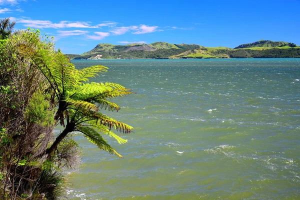 Bela Whanganui Inlet Uma Reserva Marinha Selvagem Nova Zelândia Ilha — Fotografia de Stock