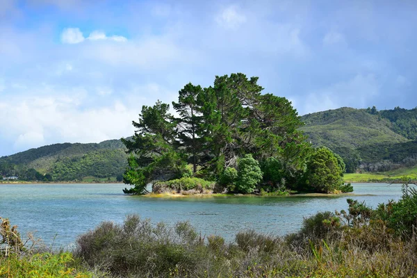 Schöne Neuseeländische Landschaft Eine Kleine Insel Einem See Südinsel Tasman — Stockfoto