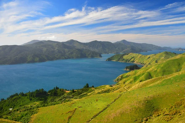 Marlborough Sounds Nueva Zelanda Isla Sur Con Montañas Bosques Océanos —  Fotos de Stock