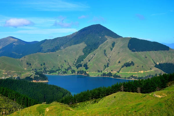 Die Marlborough Sounds Neuseeland Südinsel Mit Bergen Wäldern Und Meer — Stockfoto