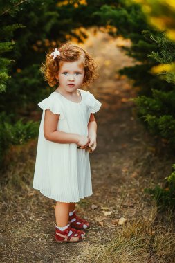 Parktaki güzel aile