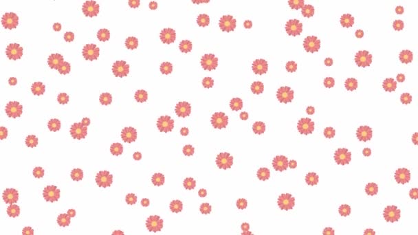 Animerade Rosa Blommor Flyga Från Topp Till Botten Vit Bakgrund — Stockvideo