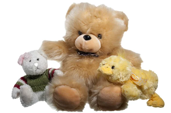 A animal plush — Stock Photo, Image