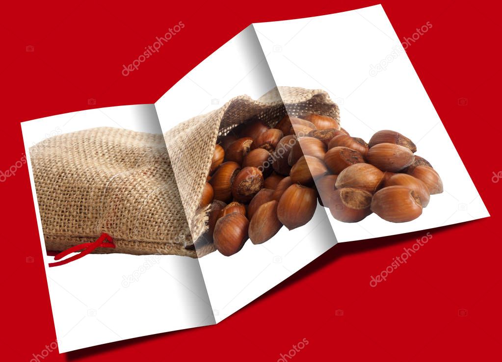 brochure of hazelnuts 