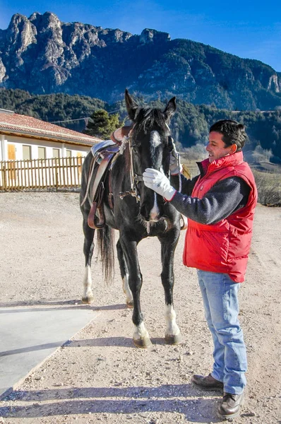 Adam ve siyah at — Stok fotoğraf