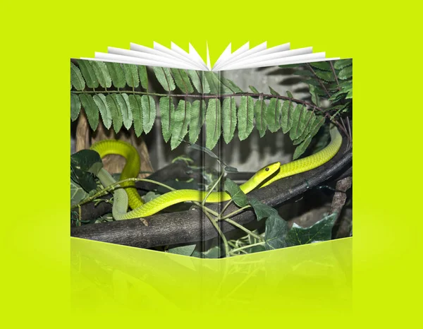 Book of snake coiled — Stock Photo, Image