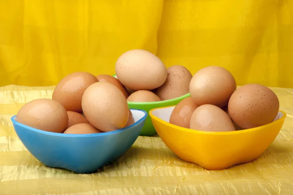 Eggs ready to color — Stock Photo, Image