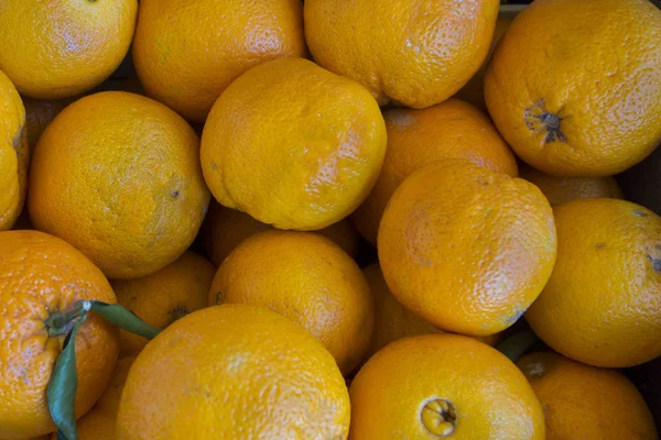 Frisches Obst und Gemüse — Stockfoto