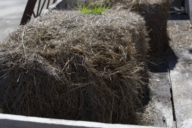 Saman balya düz yatakta