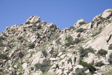 Dağ taş yakın çekim